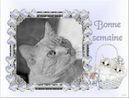 Bon Dimanche et Bonne semaine...